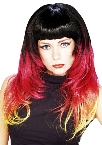 Langhaarpercke Deutschland in Schwarz Rot Gelb